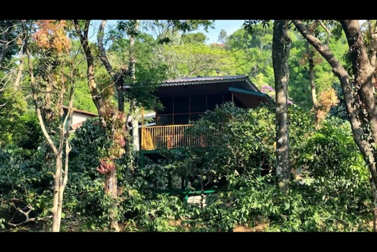 Hill Valley Farm House Nelliyampathy Exterior photo