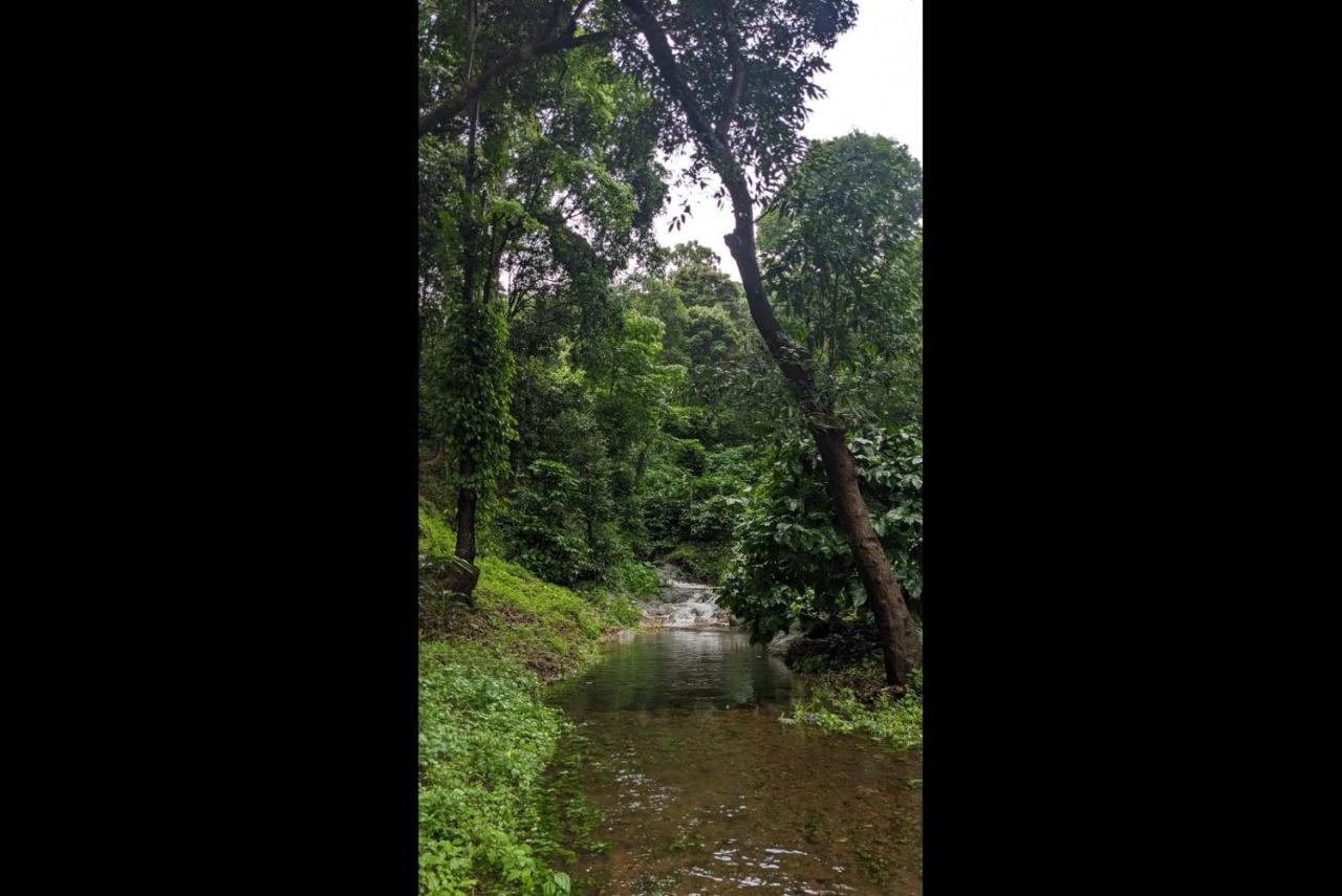 Hill Valley Farm House Nelliyampathy Exterior photo